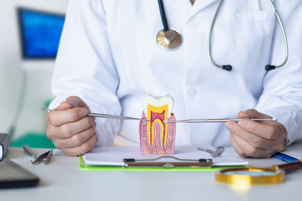 Best Emergency Dentist for Lost Fillings or Crowns in Mauriceville, TX